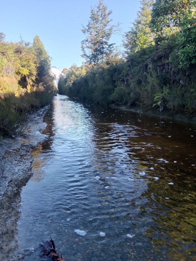 El agua caracteristica del lugar, su sereno movimiento es de una belleza inigualable